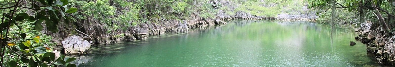 Bassin Waka Tours